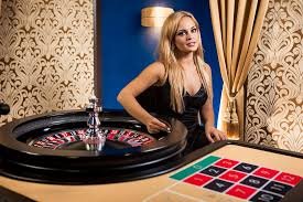 Tampilan dashboard pengelolaan saldo dan riwayat penarikan akun sicbotogel